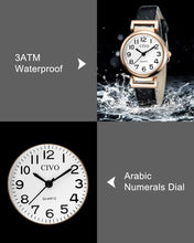 Laden Sie das Bild in den Galerie-Viewer, 2065C | Quartz Women Watch | Leather Band