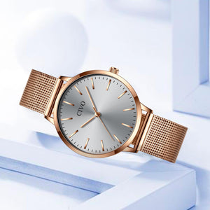 8060C | Quartz Women Watch | Mesh Band