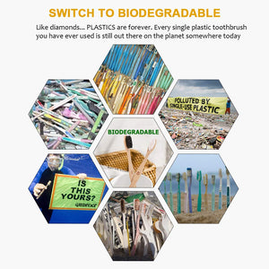 Oteasug Biodegradable Reusable Bamboo Toothbrushes, Bamboo Toothbrush made from Natural wooden and Eco-Friendly BPA Free Bristles, 10 pack form Oteasug