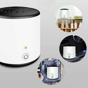 Air Purifier Ozone Generator Refrigerator Food Fruit and Vegetable Shoes Wardrobe Disinfection Device