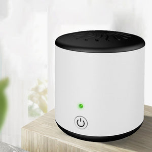Air Purifier Ozone Generator Refrigerator Food Fruit and Vegetable Shoes Wardrobe Disinfection Device