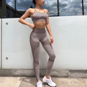 2 Piece Yoga Set Sports Bra and Leggings Jogging Women Gym Set Clothes Seamless Workout Sports Tights Women Fitness Sports Suit
